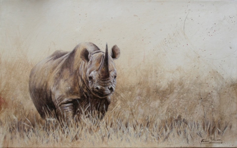 Artists 4 Rhino